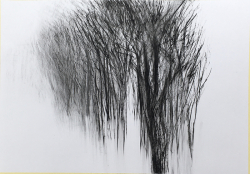 Click image to enlarge