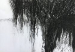 Click image to enlarge